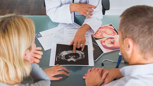 Fertility & IVF
